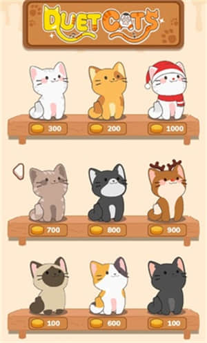 猫咪二重奏