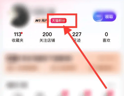 如何在天猫上查看自己的积分？