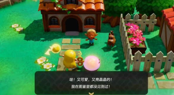 《塞尔达传说智慧的再现》新泥怪发现攻略