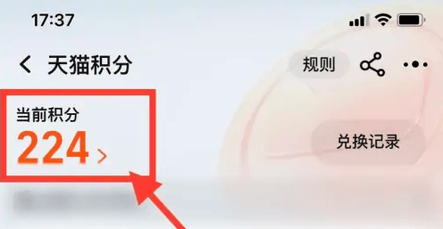 如何在天猫上查看自己的积分？