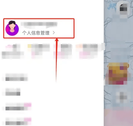 如何查询花小猪打车的出行订单信息