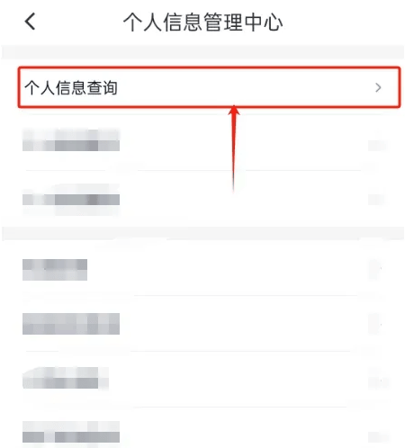 如何查询花小猪打车的出行订单信息