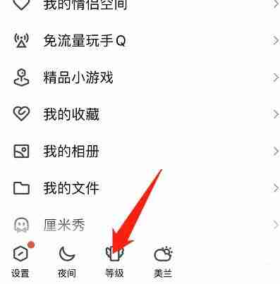 如何查看《QQ》的等级排名