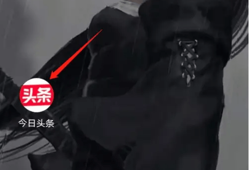 如何在今日头条App中阅读小说