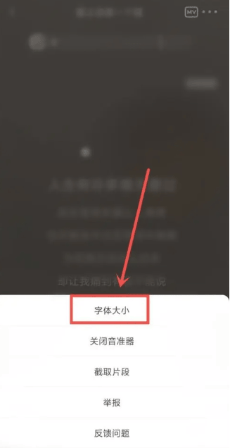 如何在《全民k歌》中自定义字幕
